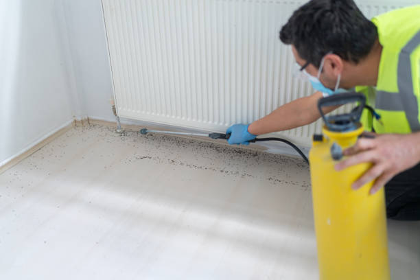 Best Local Pest Control Services  in Dover, TN