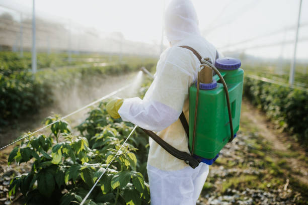 Best Affordable Pest Control Services  in Dover, TN